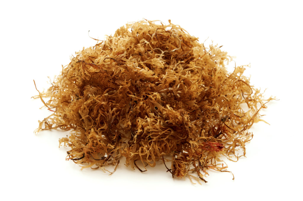 why-is-sea-moss-the-hottest-new-superfood