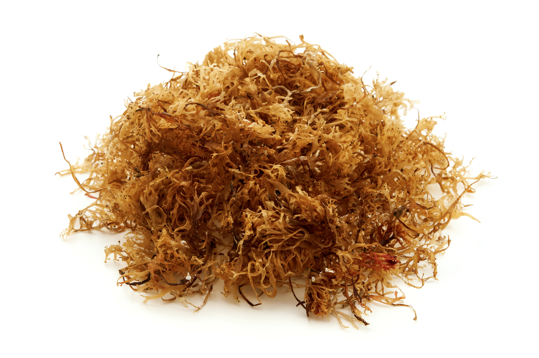 Why is Sea Moss the Hottest New Superfood?