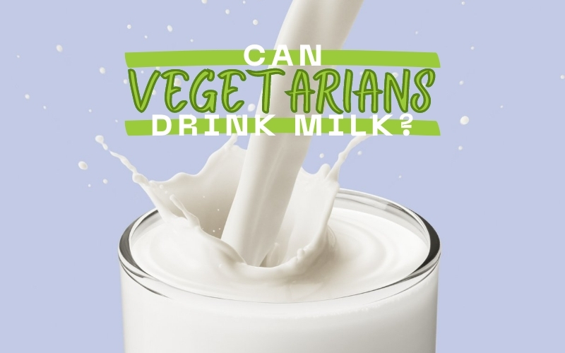Can Vegetarians Drink Milk? You Decide