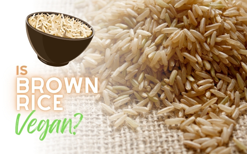 Is Brown Rice Vegan? Facts for Your Plant-Based Diet