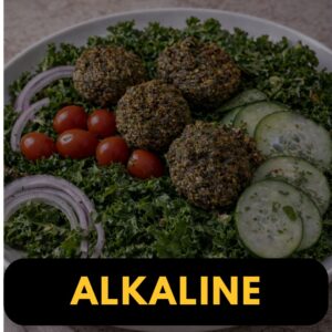 Life Bistro Alkaline Vegan Menu in Atlanta